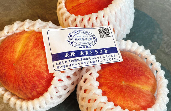 カクテルのような桃の冷製スープ！立川のフレンチレストラン”アシメトリィ”シェフの大人気メニュー！！